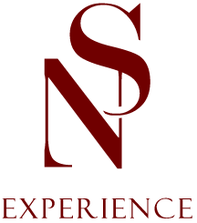 ns experience logo